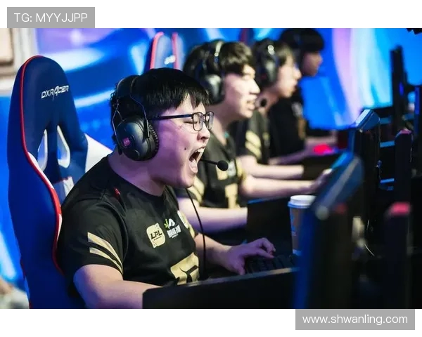 RNG战队如何引领王者荣耀的力量变革与未来发展探讨