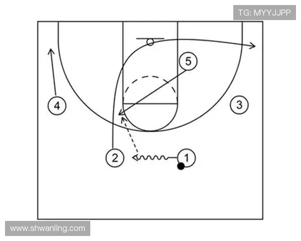 南京篮球队战术表现深度分析与数据解读探讨