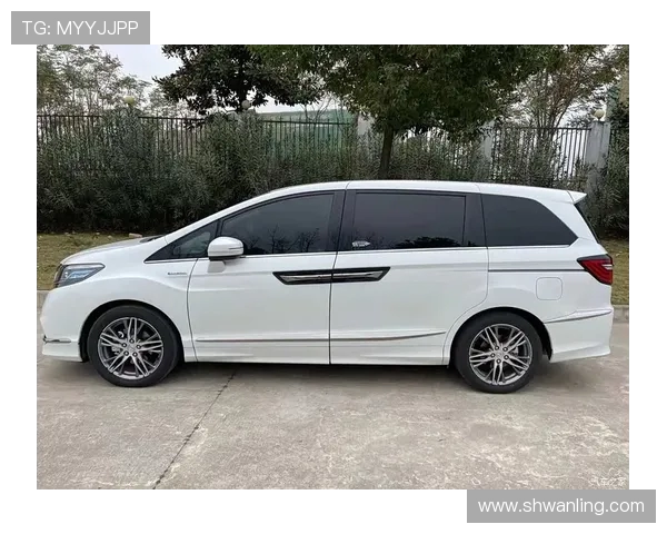 杭州城市马拉松评析：飞盘队技术表现与赛事亮点探讨