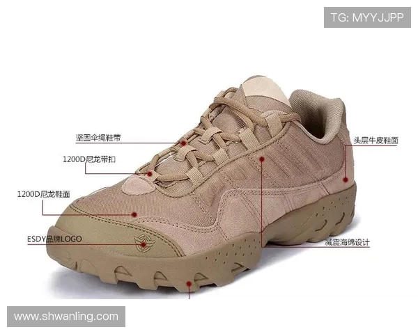 杭州攀岩队与上海攀岩队赛后战术分析与总结探讨