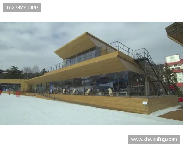 武汉极限运动队与杭州极限运动队赛后复盘力量对比分析与启示