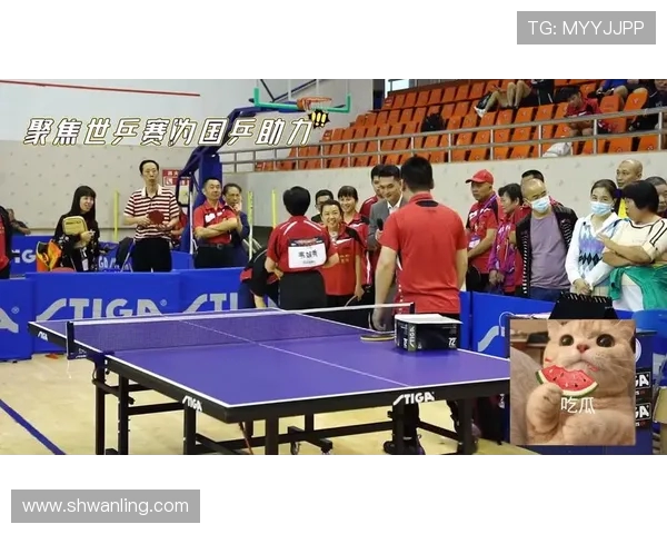 聚焦乒乓球：探索杭州乒乓球队员个人能力的提升与发展之路