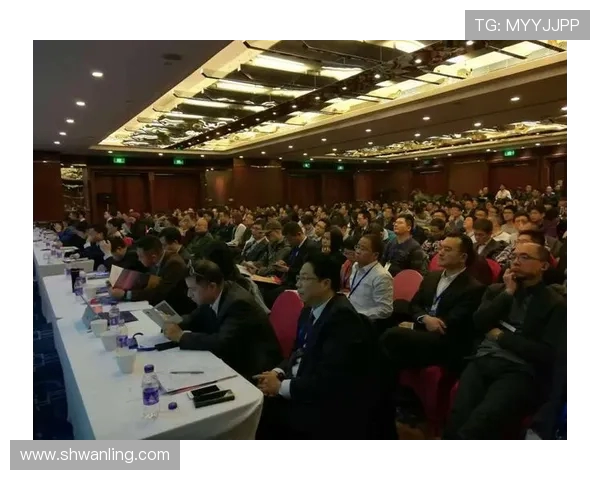 张帆：在新时代背景下探索青年成长与发展的多元路径与挑战