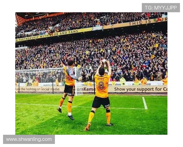 若昂内维斯的足球之路：从青训新星到职业联赛的闪耀之星