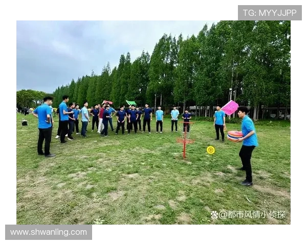 飞盘运动的魅力与团队默契西安飞盘队的协作之道探秘