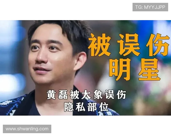 黄磊畅谈排球生涯背后的故事与成长历程 黄磊畅谈排球生涯背后的故事与成长历程