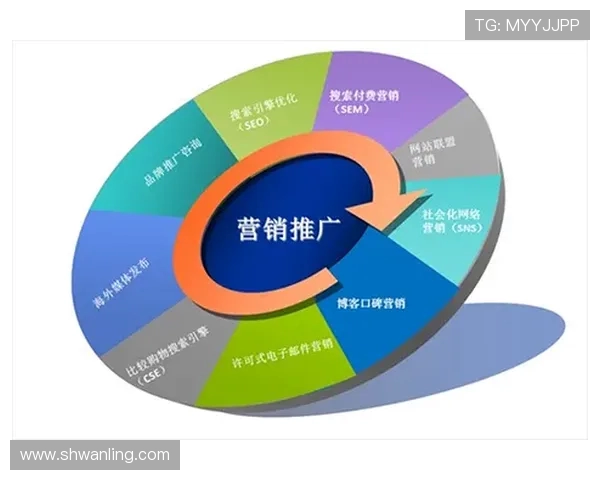 南京飞盘队的成功运营策略与发展模式深度分析 南京飞盘队的成功运营策略与发展模式深度分析