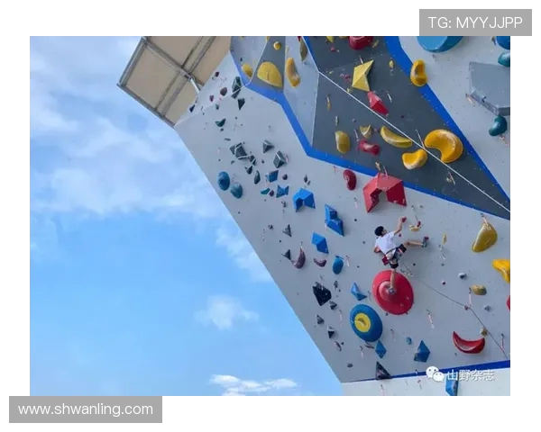 广州攀岩队区域防守分析与比赛表现的深度探讨