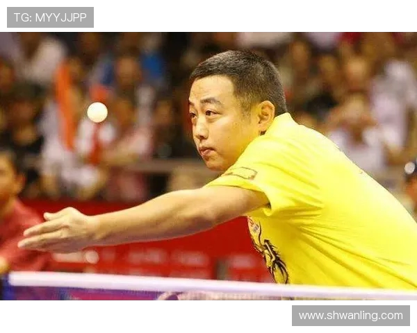 成都乒乓球队防守革新之路：技术与战术的双重突破与实践探索