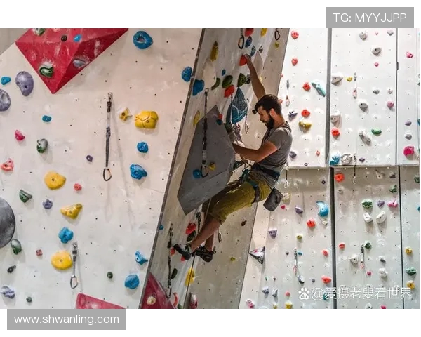 深圳滑板队勇闯世界攀岩锦标赛的奋斗历程与精彩瞬间