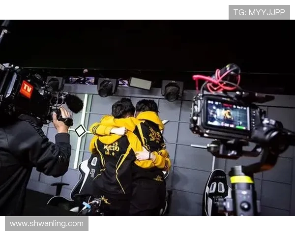 专访杨静揭秘和平精英成功背后的策略与创新之路