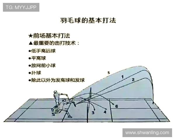 南京羽毛球队控制打法深度解析与战术运用探讨