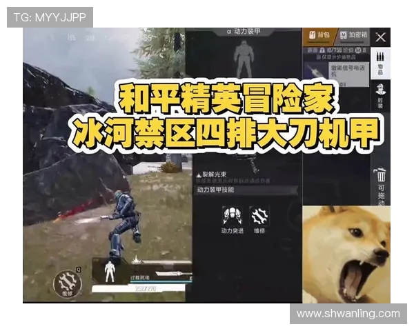 和平精英巨献：探秘TES的战术