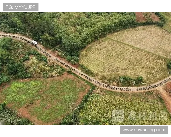 成都极限运动队防反策略分析与战术得失探讨