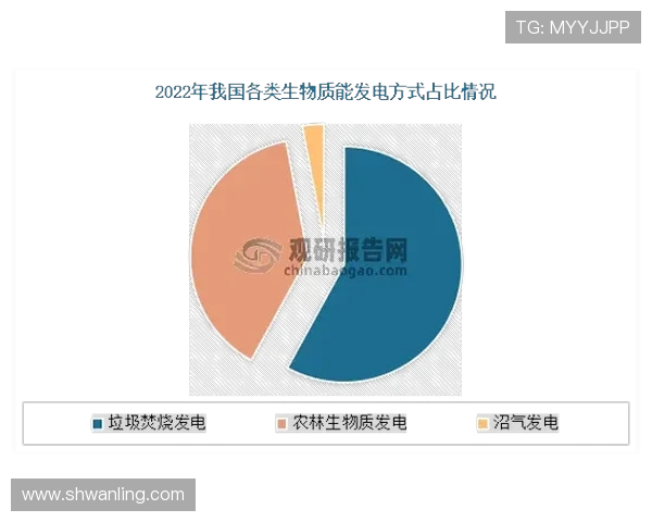 数据分析揭示LNG技术表现的优势与挑战及其未来发展趋势